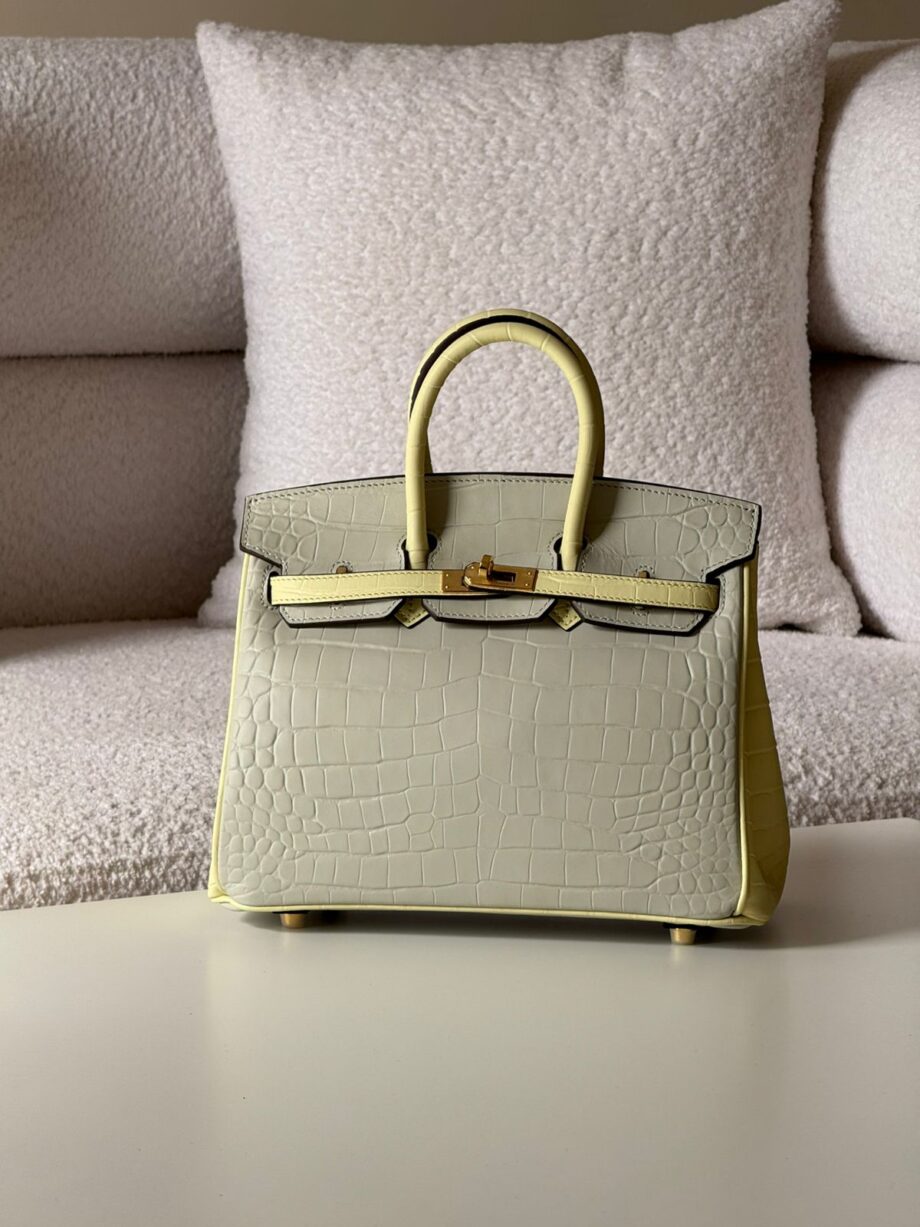 H Birkinn 25 Bag , Shiny Real Crocodile Leather Embossed.