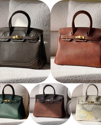 H Birkinn 30 with Real Togo Leather.