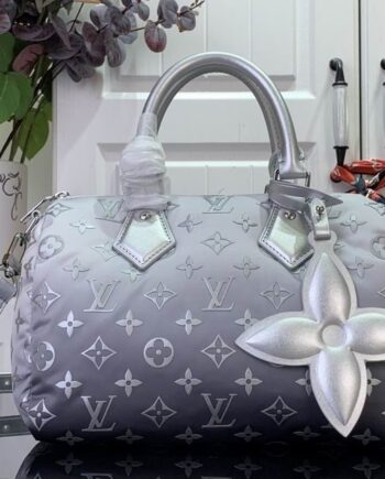 Loui Speedy Bandoulière 25 in Frost color
