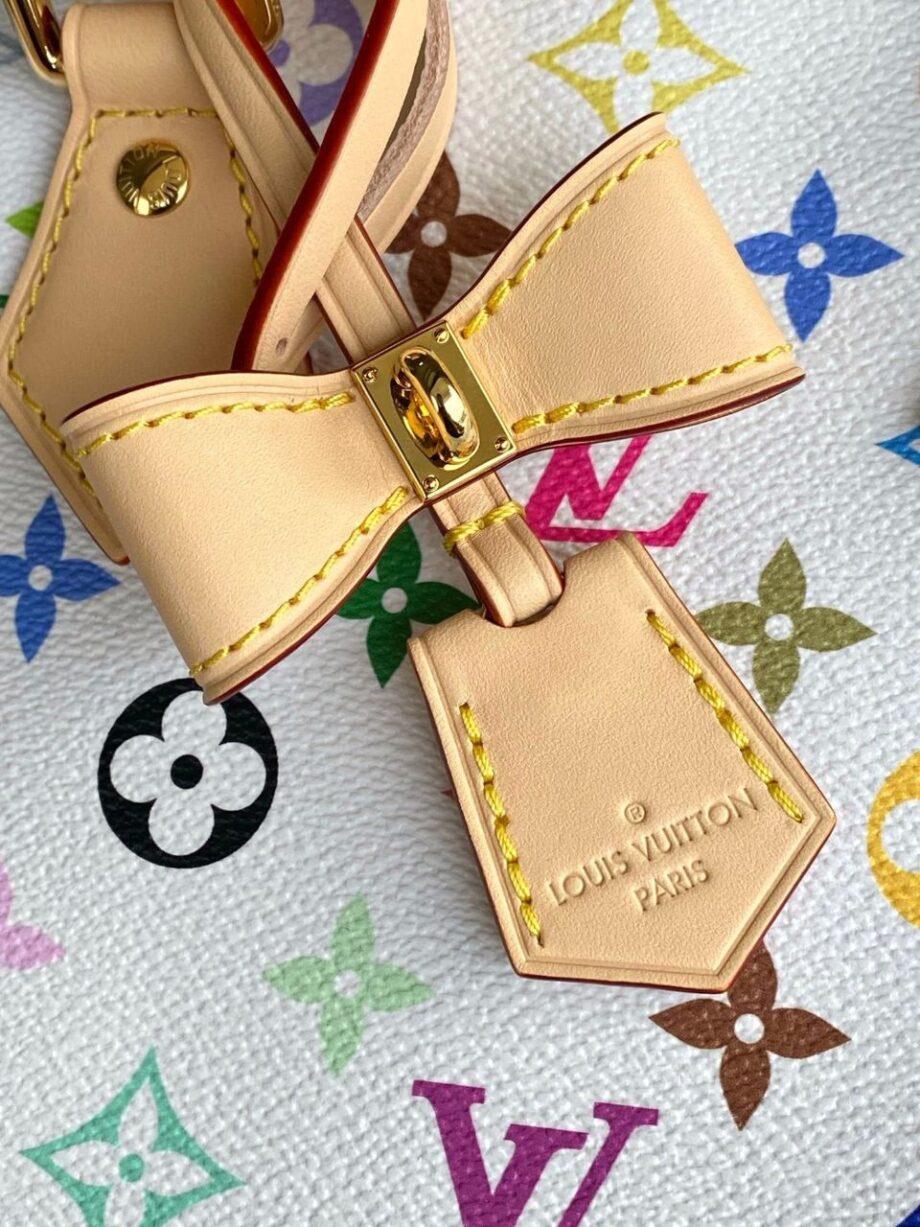 Loiu Takashi Murakami Speedy Bandouliere 25 | Multicolor Pattern.